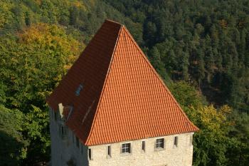  (© Jaromir Kvapil, 10/2008)