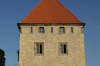 Kokořín (© Jaromir Kvapil, 10/2008)