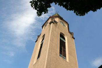  (© fotohad.cz, 08/2008)