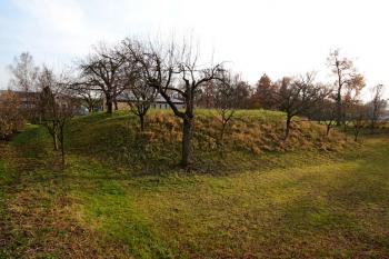 tvrziště od severu (© Pavel Zany Komárek 19. 11. 2012)
