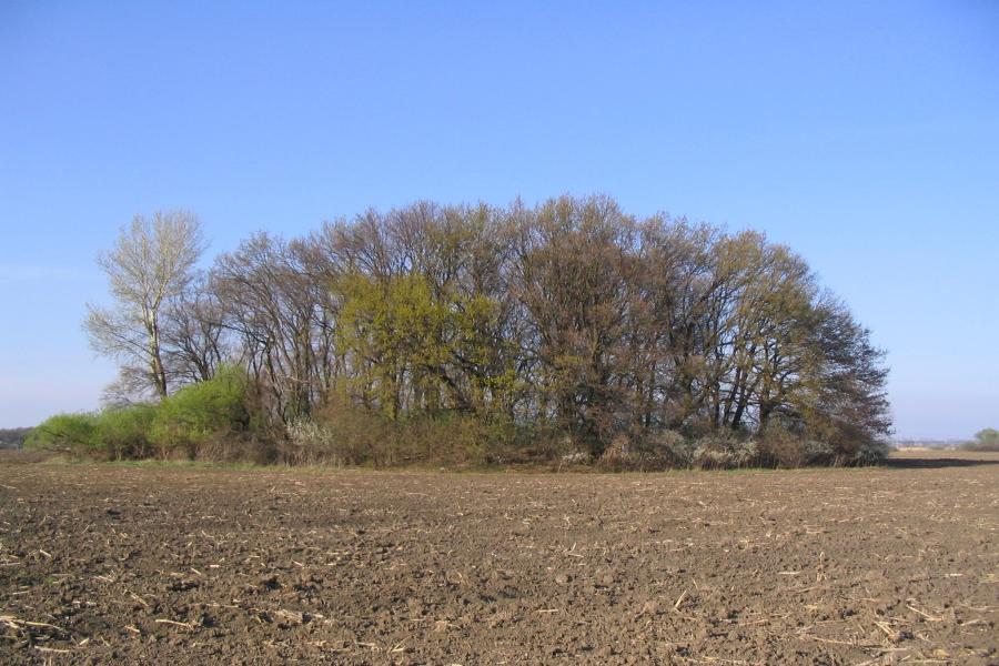 Stará Břeclav