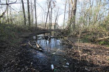 Přikop tvrziště (© Petr Nožička  04/2022)
