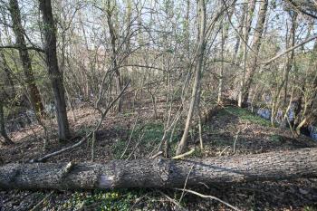 Dva přikopy tvrziště (© Petr Nožička  04/2022)