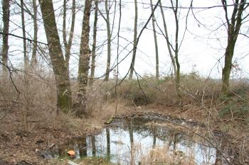Příkop tvrze (© Petr Nožička, 4/2008)