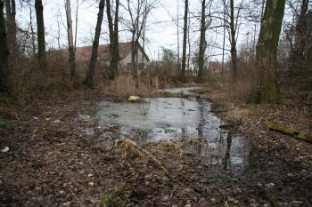 Část příkopu, kde se do dneška dochovala voda (© Petr Nožička, 02/2009)
