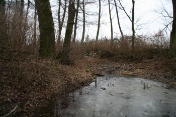  (© Petr Nožička, 02/2009)