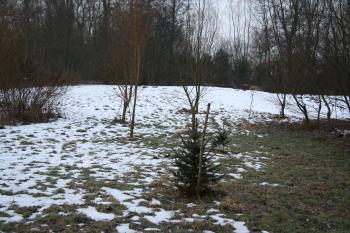 Plocha tvrziště (© Petr Nožička, 01/2009)