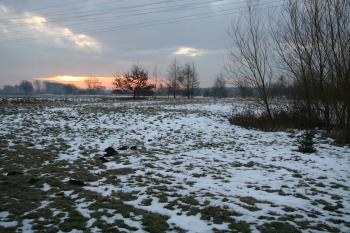 Plocha tvrziště (© Petr Nožička, 01/2009)