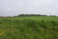 Žáravice