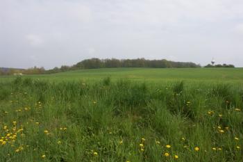 celkový pohled na lokalitu ( © Milan Caha 04/2008)