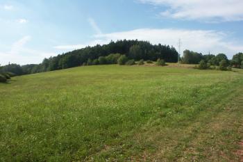celkový pohled na vrch Homolka ( © Milan Caha 08/2008)