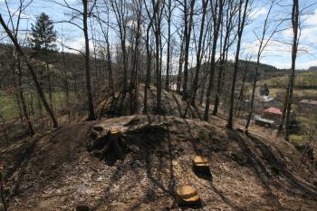 Pohled na tvrziště přes val a šíjový příkop (© Petr Nožička  04/2022)