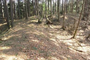 Pohled přes šíjový příkop od severozápadu ( © Filip Matoušek 3/2007)