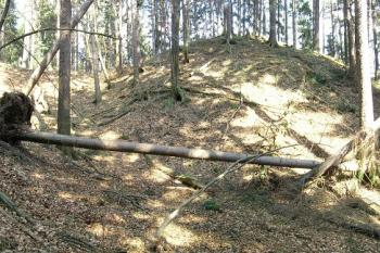 Celkový pohled na lokalitu od jihu, vlevo šíjový příkop ( © Filip Matoušek 3/2007)