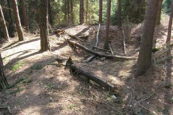 Terénní deprese - zřejmě pozůstatek stavby - na východním okraji ( © Filip Matoušek 3/2007)