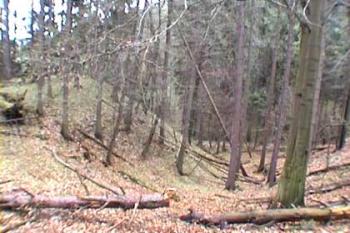 Příkopy (© Vlky, Jirka Čížek)