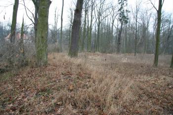 Val, který pokračuje směrem k Valům (© Petr Nožička, 12/2008)