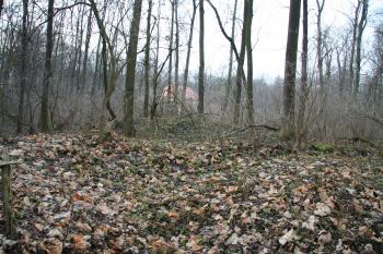 Povrch tvrziště (© Petr Nožička, 12/2008)