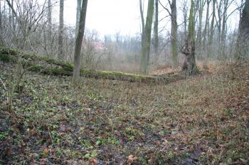 Příkop (© Petr Nožička, 12/2008)