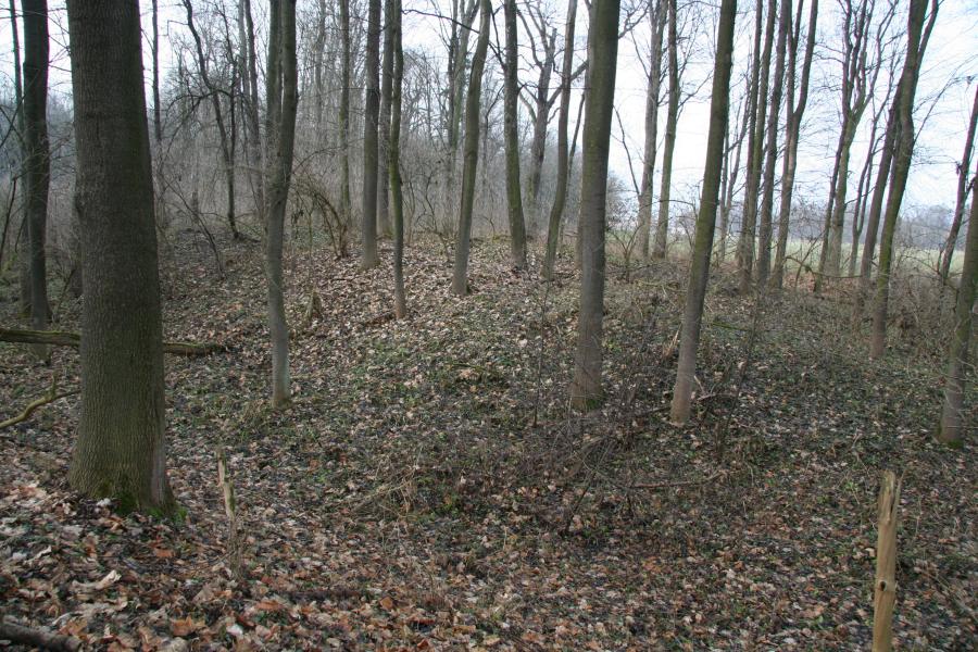 Lepějovice