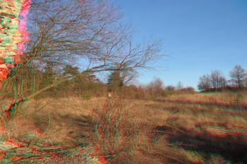 Areál tvrze ( © Jiří Čížek 03/2005)