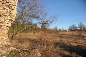 Areál tvrze ( © Jiří Čížek 03/2005)