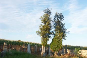  ( © Milan Caha 08/2008)