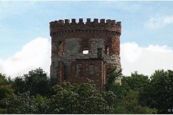 Windsor u Siřejovic (© Petr Lánský, 08/2010)