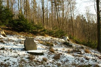 ( © Milan Caha 01/2009)