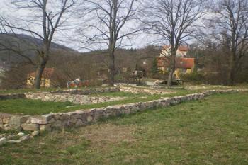  (© Milan Náplava, 04/2009)