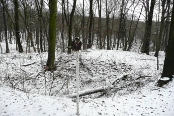 celkový pohled na zasypanou jámu Josef ( © Jan P. Štěpánek 01/2009)