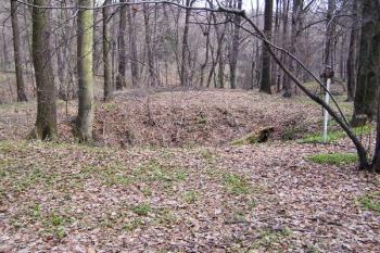 celkový pohled na zasypanou jámu Josef ( © Jan P. Štěpánek 03/2008)