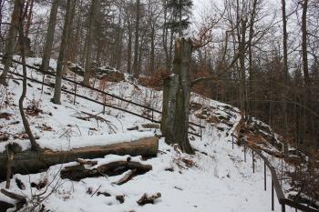  ( © Luděk Vláčil 01/2017)