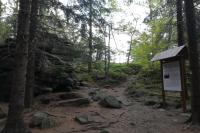 Trniště