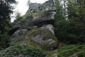 Trniště - pod skálou (© Simona Kidlesová 08/2020)