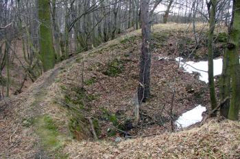  ( © Jiří Čížek 02/2007)