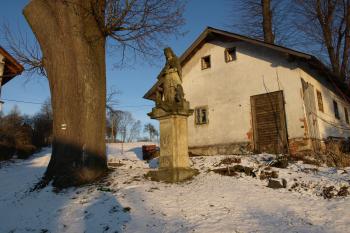  ( © Milan Caha 01/2009)