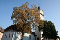 kostel sv. Jiří (kostol sv. Juraja)