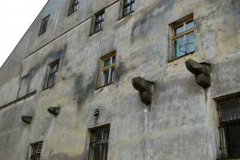 krakorce na štítové zdi domu (© zdeněk komínek, 04/2011)