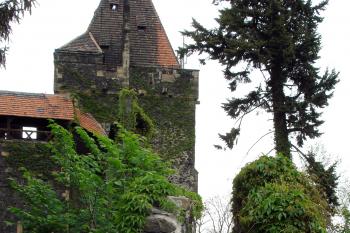 Průchod po hradbě na severovýchodě opevnění jádra ( © Iva Spurná 7.5.2007)
