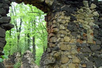 Zříceniny pivovaru v jižní části předhradí ( © Iva Spurná 7.5.2007)