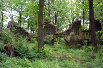 Zříceniny pivovaru v jižní části předhradí ( © Iva Spurná 7.5.2007)