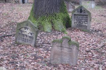  (© Zdeněk Susa, 02/2009)