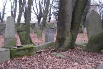  (© Zdeněk Susa, 02/2009)