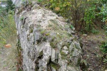 Torzo zdiva na okraji skály (2004 © Lenka Daňková)