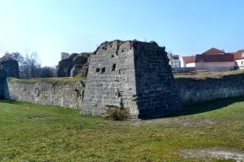 Vodní hrad Lipý ( © František Kinař 05/2017)