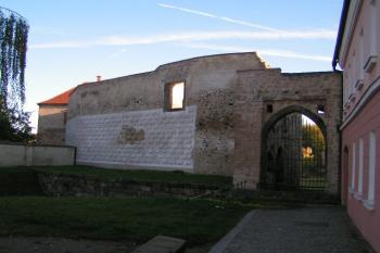 Lipý (© Pavel Zabrana, 12/2006)