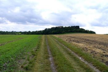  ( © František Kinař 05/2017)