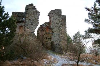 Detail (© Aleš Marek 01/2006)