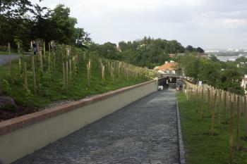  ( © Milan Caha 07/2008)